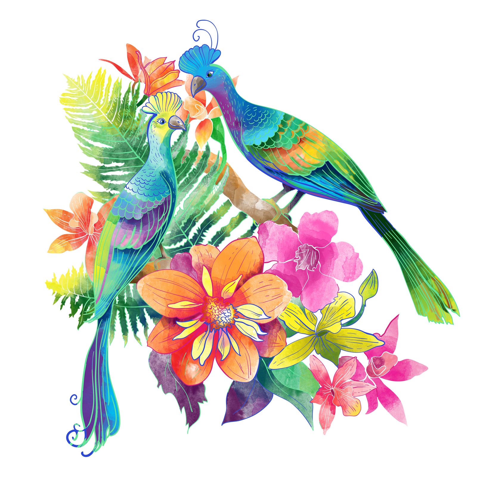 Tropical Birds Watercolor